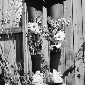 Meet your Posher, Lexie